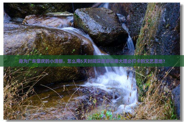 肇庆去云南大理必去地