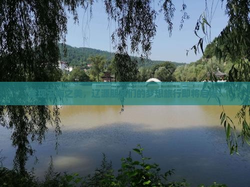辽源去云南旅行社