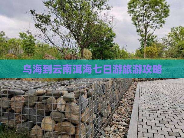 乌海市去云南洱海七日游