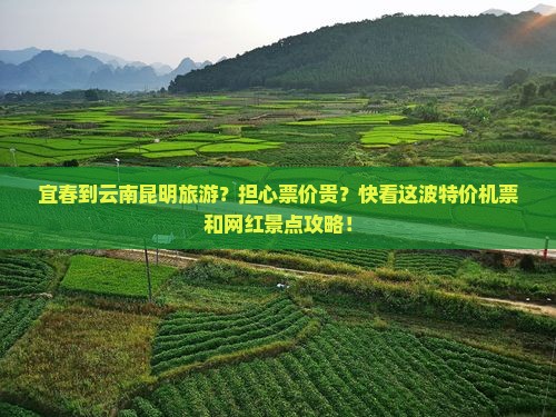 宜春到云南昆明旅游