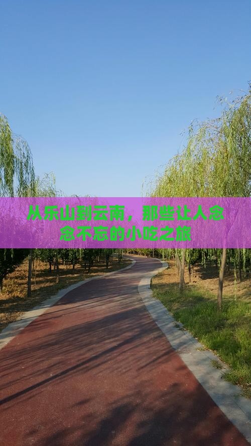 乐山去云南旅游小吃