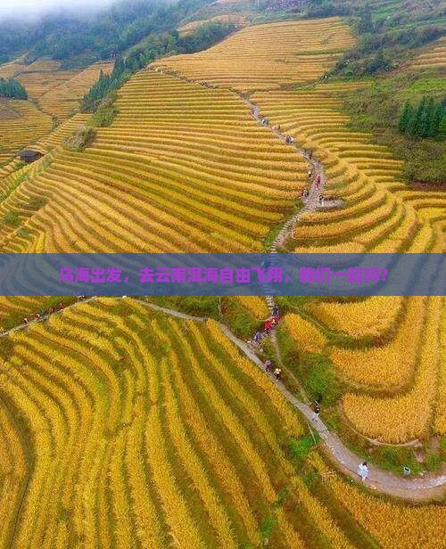 乌海到云南洱海自由团
