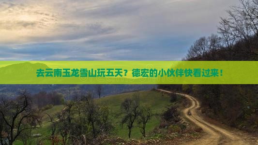 德宏去云南玉龙雪山五日游