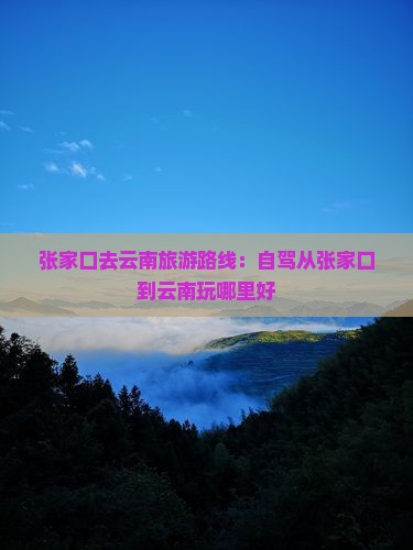 张家口去云南旅游