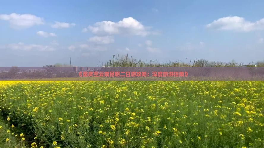 重庆去云南昆明二日游