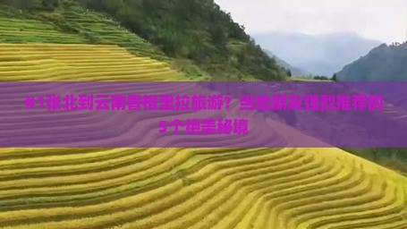 张北去云南香格里拉哪里玩