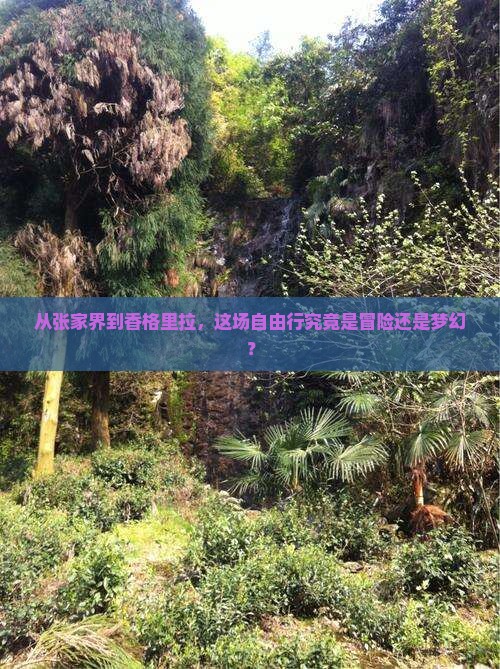 张家界到云南香格里拉自由行