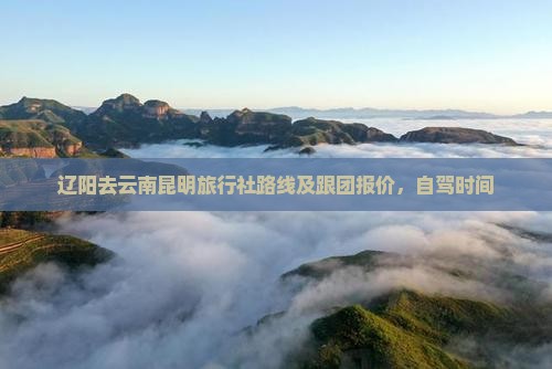 辽阳去云南昆明旅行社