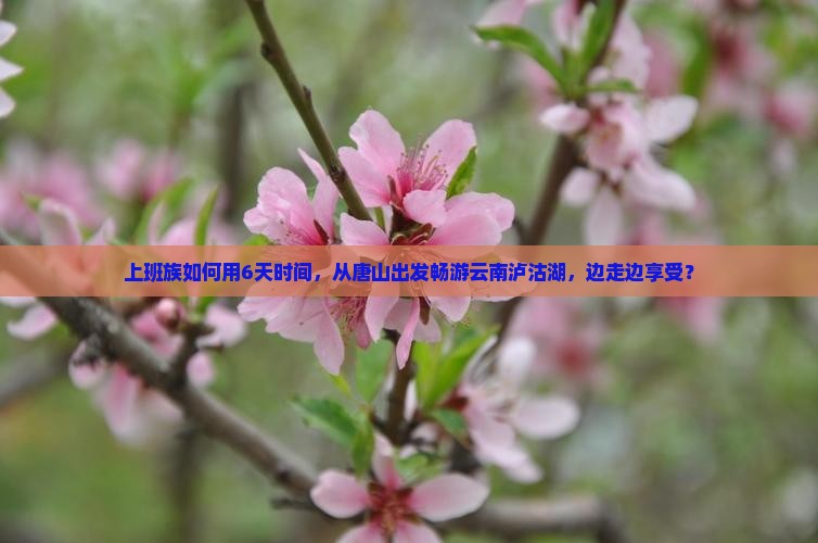 唐山去云南泸沽湖六日游