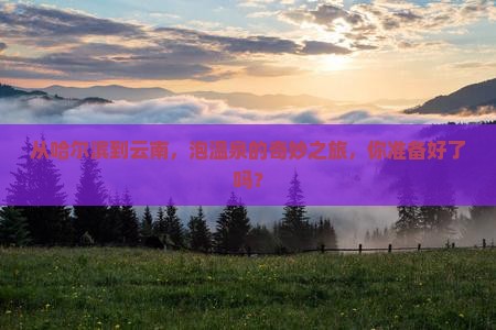 哈尔滨到云南温泉攻略 哈尔滨到云南温泉攻略