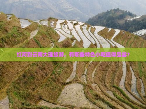 红河到云南大理旅游小吃