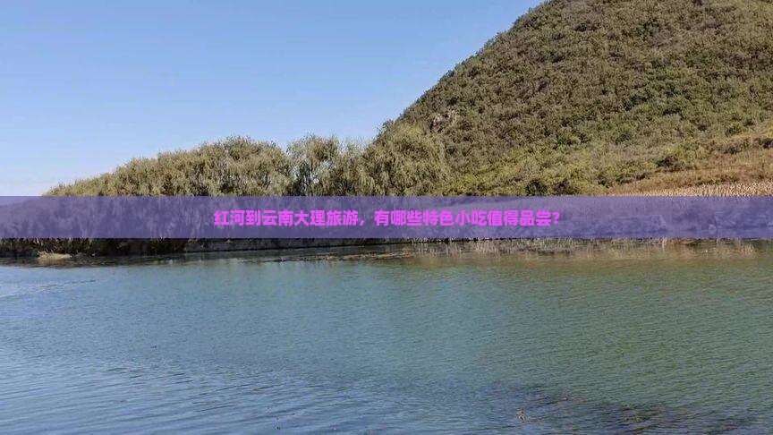 红河到云南大理旅游小吃
