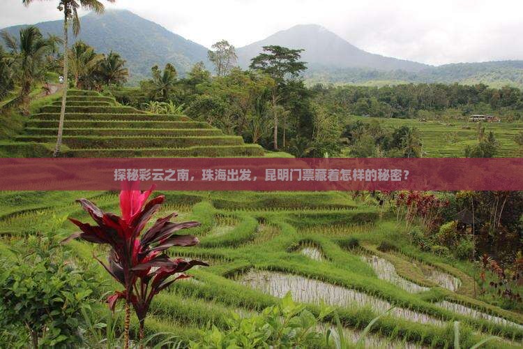 珠海到云南昆明门票