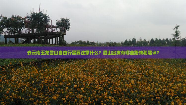 眉山去云南玉龙雪山自由团