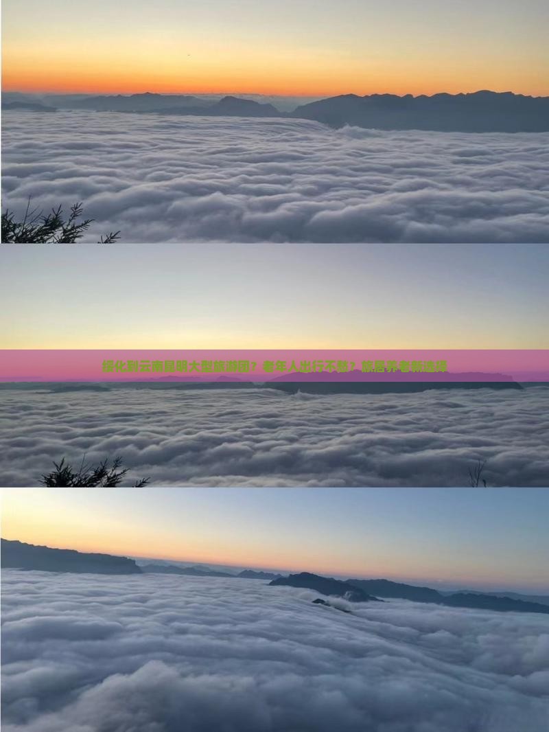 绥化到云南昆明大型旅游团
