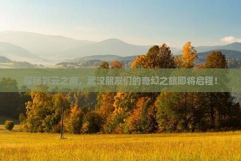 武汉到云南大型旅游团
