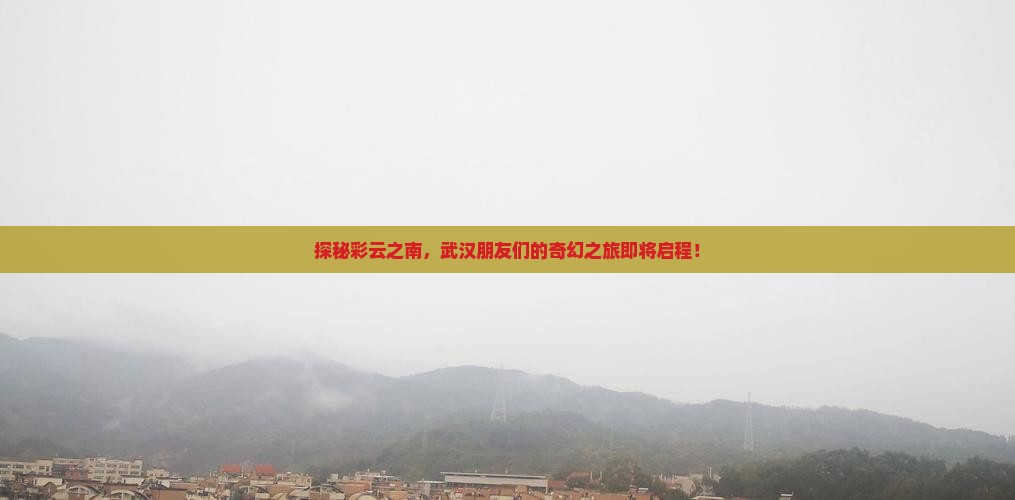武汉到云南大型旅游团