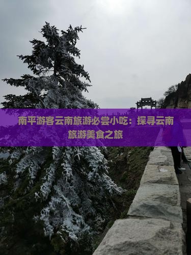 南平去云南旅游小吃