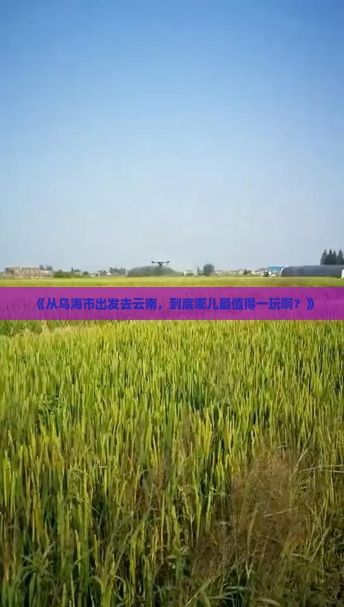 乌海市到云南哪里玩