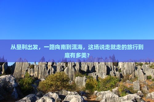 垦利到云南洱海个人游