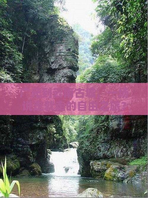 广元去云南古城自由团