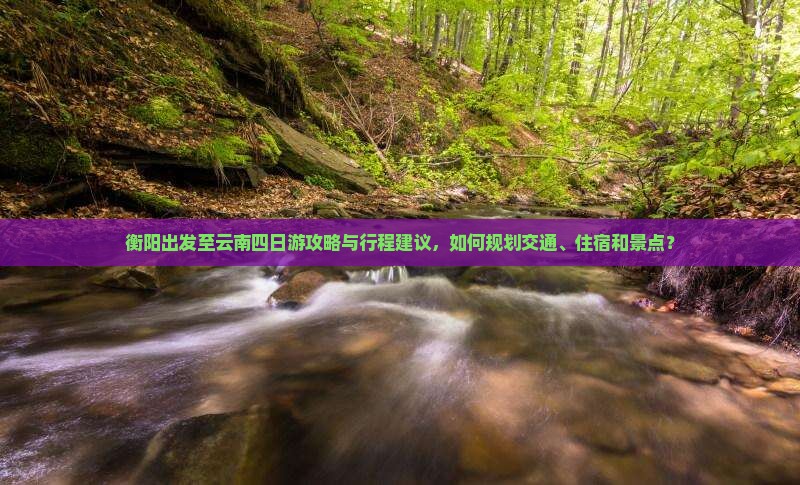 衡阳到云南四日游