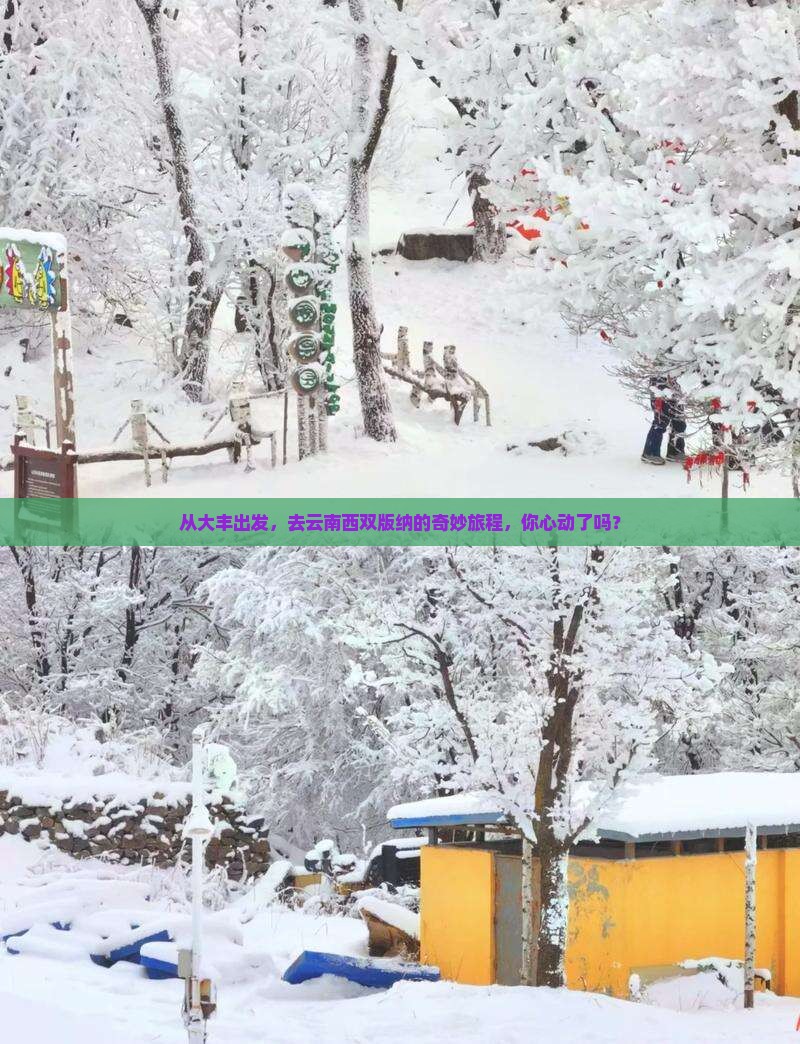 大丰到云南西双版纳旅游