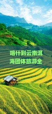 喀什到云南洱海团体旅游