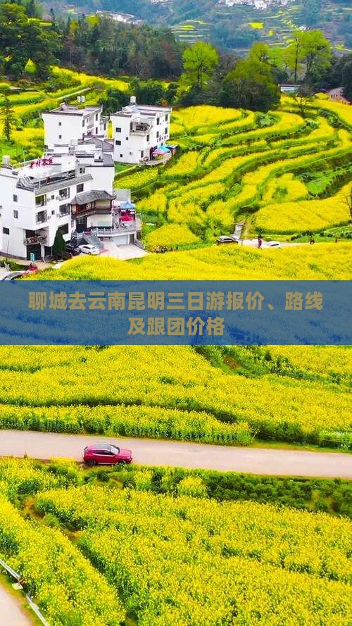 聊城去云南昆明三日游