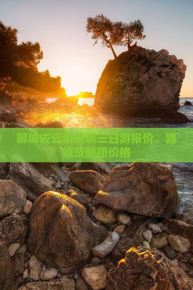 聊城去云南昆明三日游