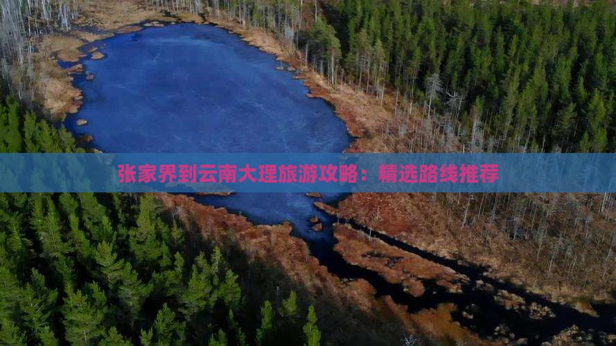张家界去云南大理一日