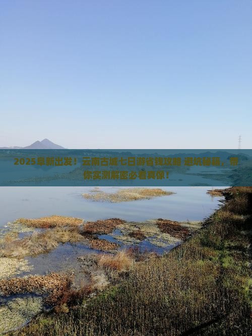 阜新到云南古城七日游