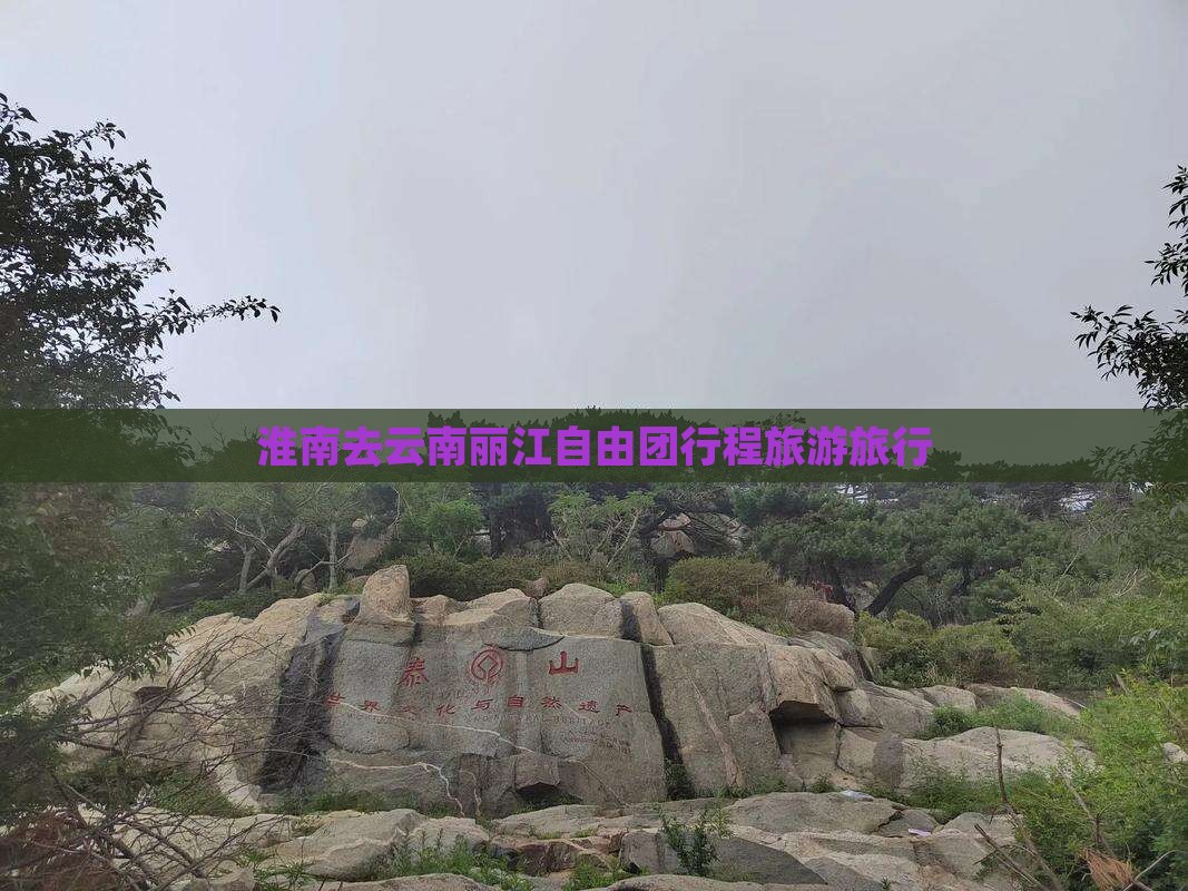 淮南去云南丽江自由团