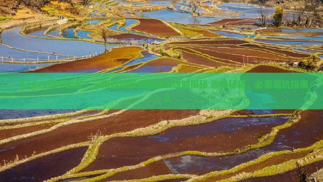 巴中到云南西双版纳团体旅游