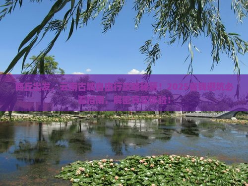 商丘去云南古城自由团