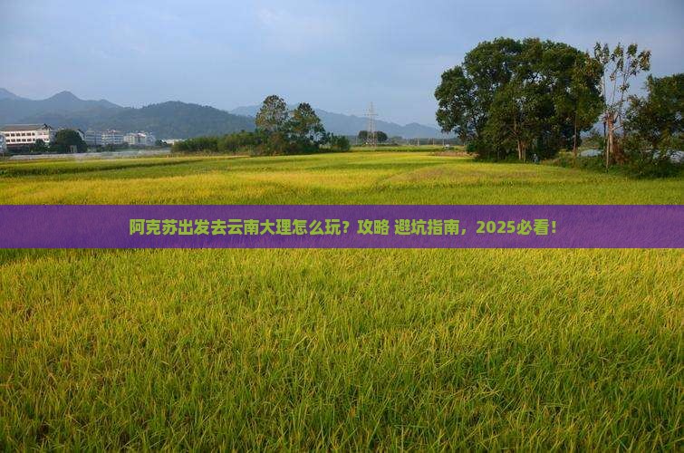 阿克苏到云南大理哪里玩