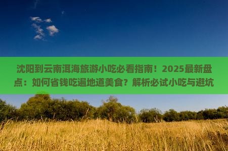 沈阳到云南洱海旅游小吃