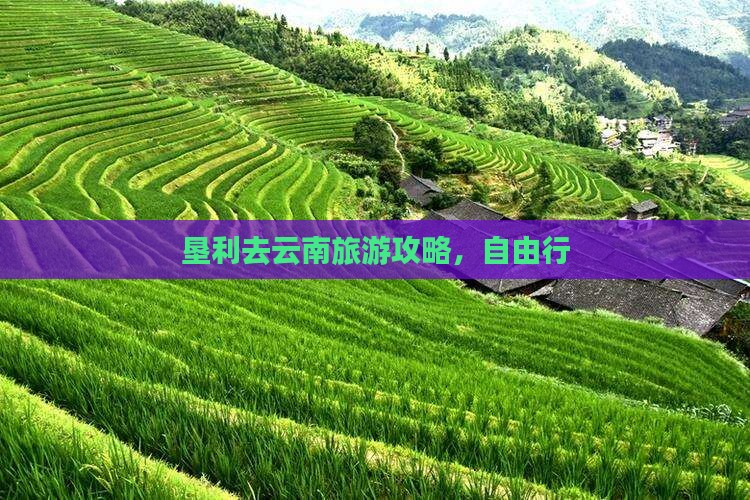 垦利去云南个人游