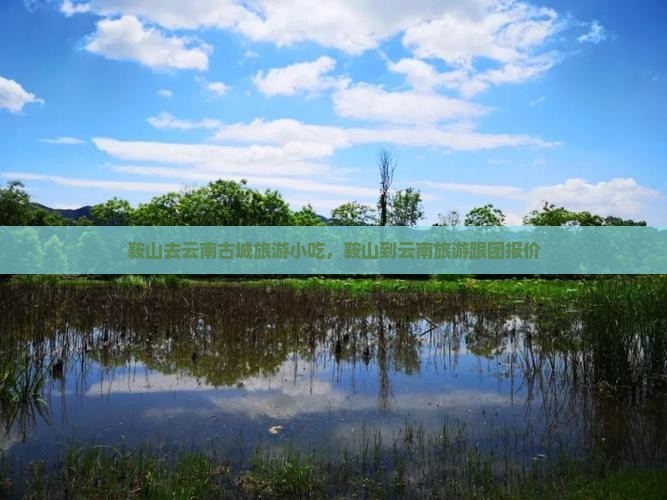 鞍山去云南古城旅游小吃