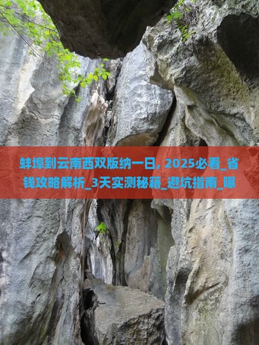 蚌埠到云南西双版纳一日