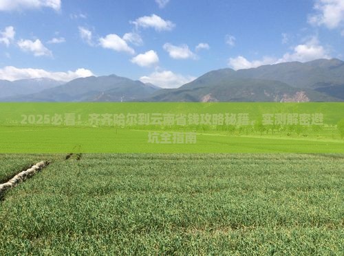 齐齐哈尔到云南攻略