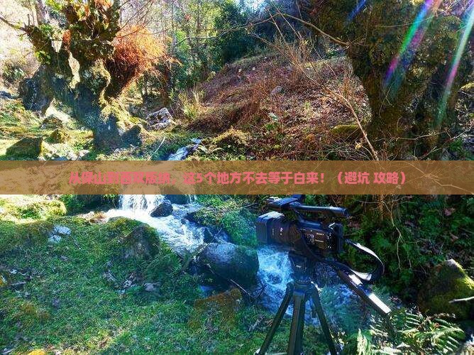 保山去云南西双版纳必去地
