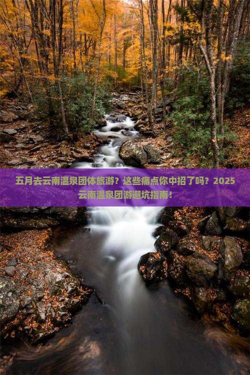 五月去云南温泉团体旅游