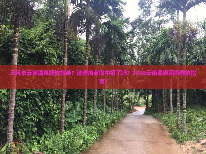 五月去云南温泉团体旅游