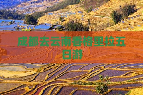 成都去云南香格里拉五日游