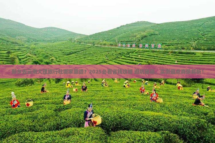 新乡去云南大理旅行社