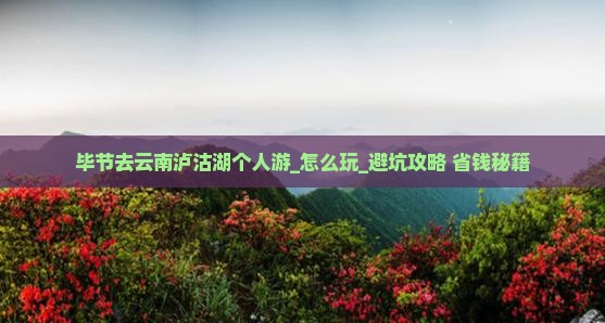 毕节去云南泸沽湖个人游