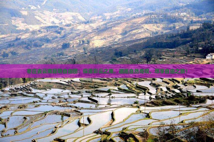 枣庄去云南昆明自由团