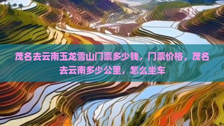 茂名去云南玉龙雪山门票