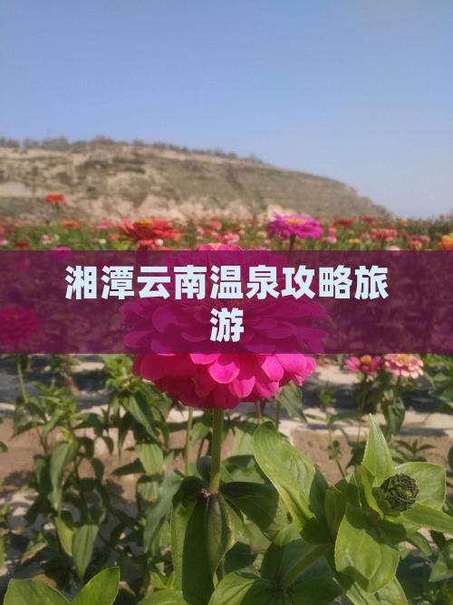湘潭到云南温泉门票